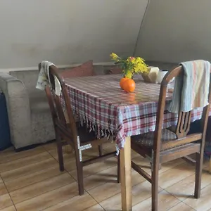  Хостел Everyday Cat Грузия